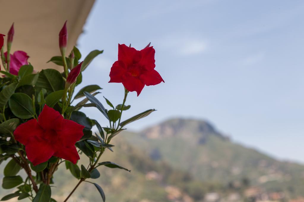 Bed and Breakfast La Guardiola Di Angela E Nino Taormina Exteriér fotografie